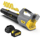 20V Leaf Blower