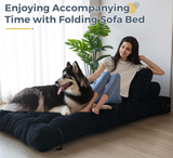 Folding Sofa Bed, 78" Convertible Sleeper Chair with Pillow for Living Room & Bedroom, Black