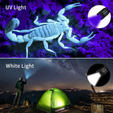 Morpilot UV Flashlight with Batteries 2 Pack, 2 in 1 Black Light & Handheld Flashlight 395nm Mini Light Torch Detector for Pet Stains, Scorpions