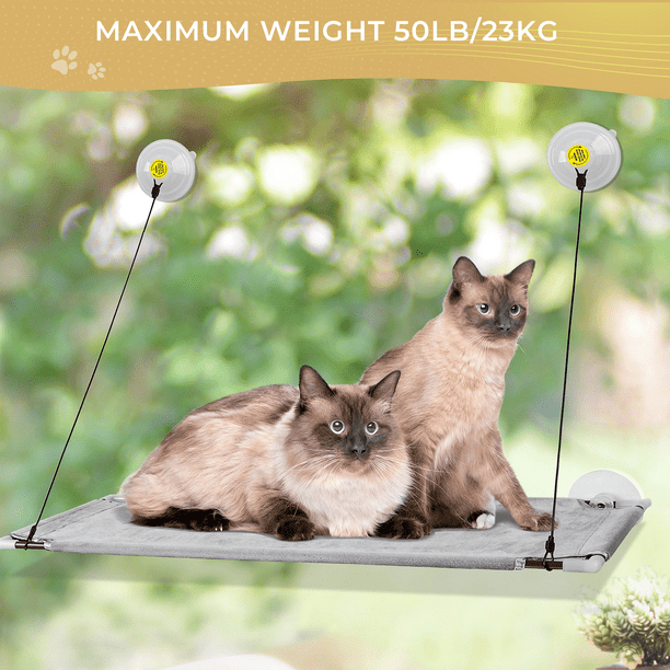 Cat Window Perch for Large Cat ,Morpilot Upgraded Cat Window Bed Seat 4 Suction Cups Space Saving Cat Hammock Pet Resting Seat Safety Cat Shelves